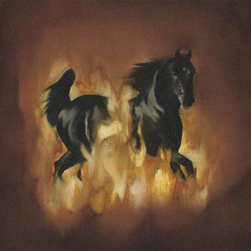The Besnard Lakes- The Besnard Lakes Are The Dark Horse ( Vinyl )