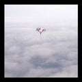 Minus Story- My Ion Truss ( Vinyl )