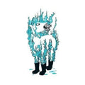 The Besnard Lakes- Casino Nanaimo ( Vinyl )