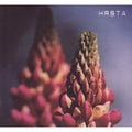 Hrsta- Ghosts Will Come and Kiss Our Eyes ( Vinyl )
