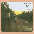 Calexico- Spoke ( Vinyl )