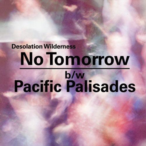 Desolation Wilderness- No Tomorrow/Pacific Palisades ( Vinyl )