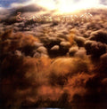 Bowerbirds- Upper Air ( Vinyl )