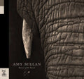 Amy Millan- Masters of the Burial ( Vinyl )