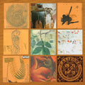 Califone- All My Friends Are Funeral Singers ( Vinyl )