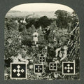 Nesey Gallons- Eyes and Eyes and Eyes Ago ( Vinyl )