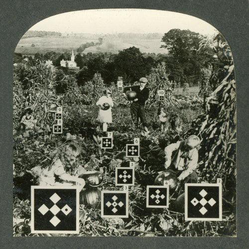 Nesey Gallons- Eyes and Eyes and Eyes Ago ( Vinyl )