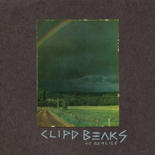 Clipd Beaks- To Realize ( Vinyl )