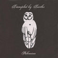 Trampled by Turtles- Palomino ( Vinyl )