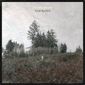 Damien Jurado- Saint Bartlett ( Vinyl )