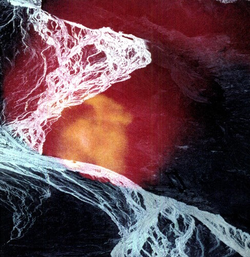 Wires Under Tension- Light Science ( Vinyl )