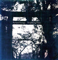 Richard Youngs- Amplifying Host ( Vinyl )