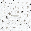 Hammock- Oblivion Hymns ( Vinyl )