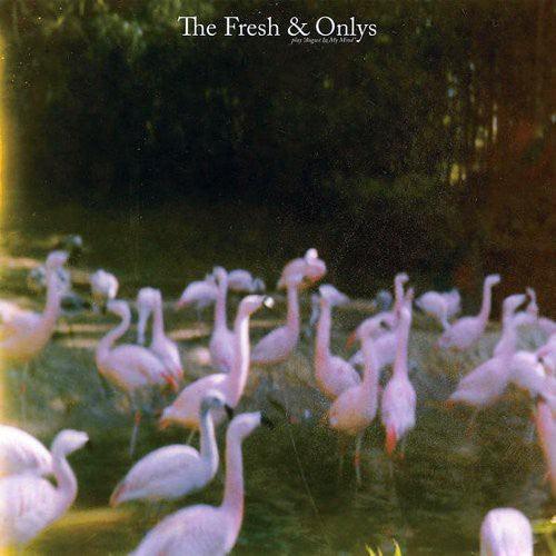 The Fresh & Onlys- August in My Mind ( Vinyl )