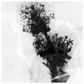 Historics- Infinidelity PT 2 ( Vinyl )