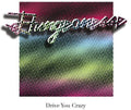 Dungeonesse- Drive You Crazy/Private Party ( Vinyl )