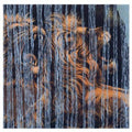 Julian Lynch- Lines ( Vinyl )
