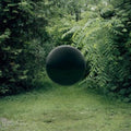 Braids- In Kind / Amends ( Vinyl )