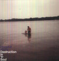 Hospital Ships- Destruction in Yr Soul ( Vinyl )