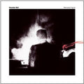 Porcelain Raft- Permanent Signal ( Vinyl )