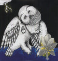 Songs: Ohia- Magnolia Electric Company Co ( Vinyl )