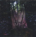 Jensen Sportag- Stealth of Days ( Vinyl )