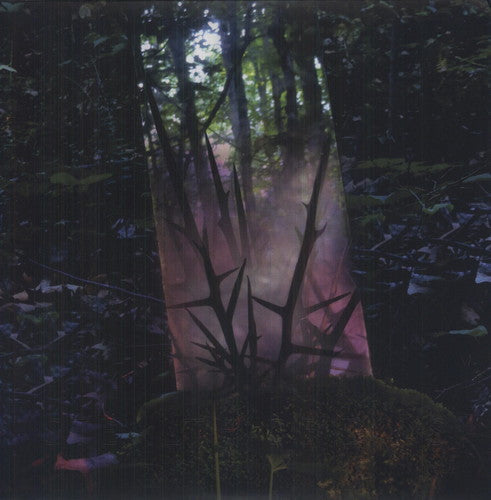 Jensen Sportag- Stealth of Days ( Vinyl )