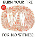 Angel Olsen- Burn Your Fire for No Witness ( Vinyl )