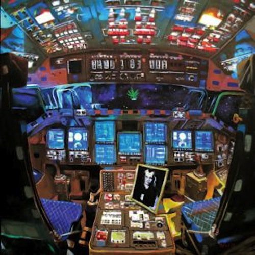 Damaged Bug- Hubba Bubba ( Vinyl )