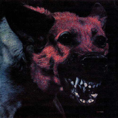 Protomartyr- Under Color of Official Right ( Vinyl )