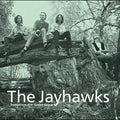 The Jayhawks- Tomorrow the Green Grass ( Vinyl )