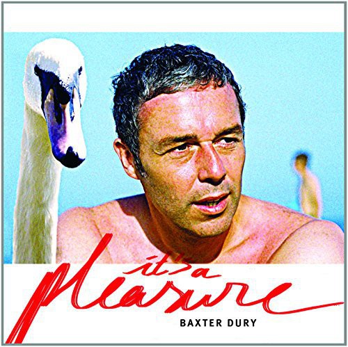 Baxter Dury- It's A Pleasure [Vinyl] ( Vinyl )