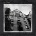 Young Statues- Flatlands Are Your Friend ( Vinyl )