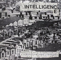 The Intelligence- Boredom & Terror / Lets Toil ( Vinyl )