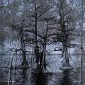 Nathan Bowles- Nansemond ( Vinyl )