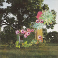Medicine- Home Everywhere ( Vinyl )