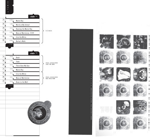 Pixies- Doolittle 25: B-Sides Peel Sessions & Demos ( Vinyl )