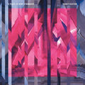 A Place to Bury Strangers- Transfixiation ( Vinyl )