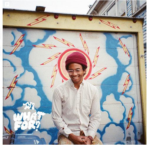 Toro y Moi- What for ( Vinyl )
