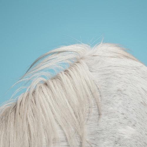 Widowspeak- All Yours ( Vinyl )