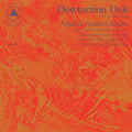 Destruction Unit- Negative Feedback Resistor [Vinyl] ( Vinyl )