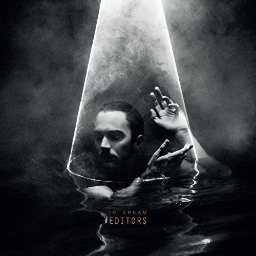 Editors- In Dream ( Vinyl )