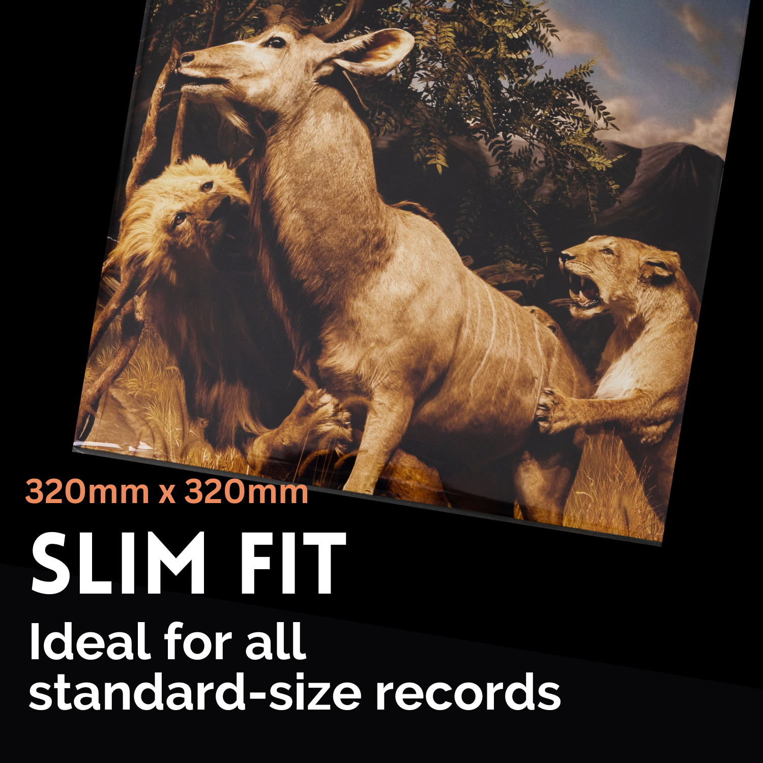 400 Pack Clear 12" Record Outer Sleeves (Slim Size)