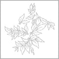 Nhor- Momenta Quintae Essentiae ( Vinyl )