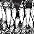 Legion of Andromeda- Iron Scorn ( Vinyl )