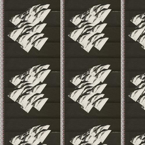 Hanz- Reducer ( Vinyl )