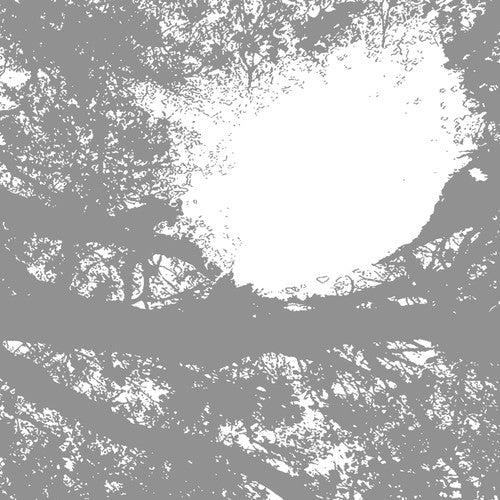 Comets on Fire- Field Recordings from the Sun ( Vinyl )
