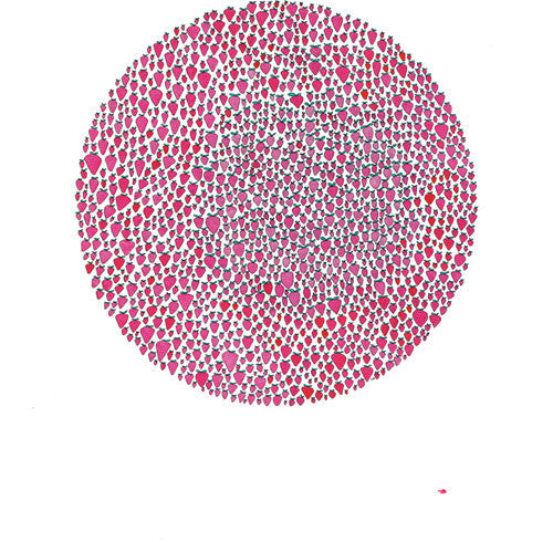 Julia Brown- An Abundance of Strawberries ( Vinyl )