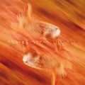 Chuck Johnson- Velvet Arc ( Vinyl )