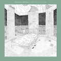 Dove & the Wolf- I Don't Know What To Feel ( Vinyl )